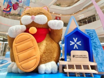 羅湖遛娃新地標！港人假期休閑的首選