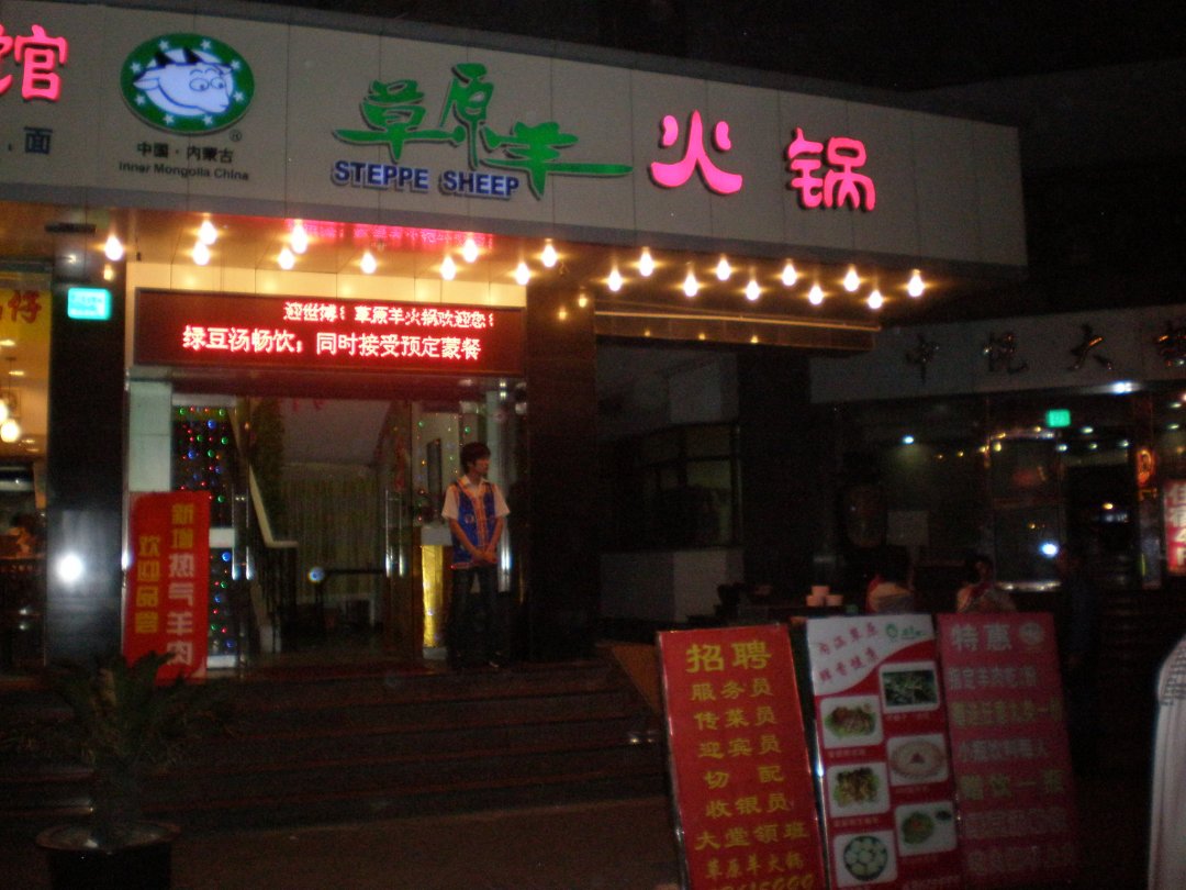 草原羊