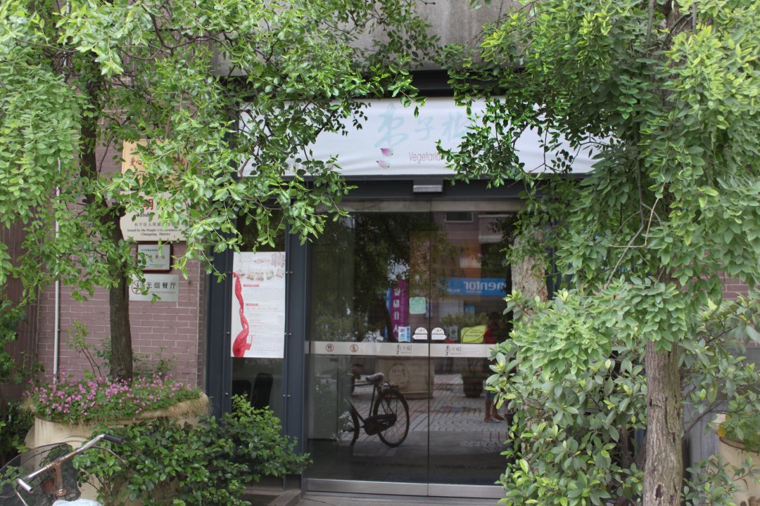 枣子树
