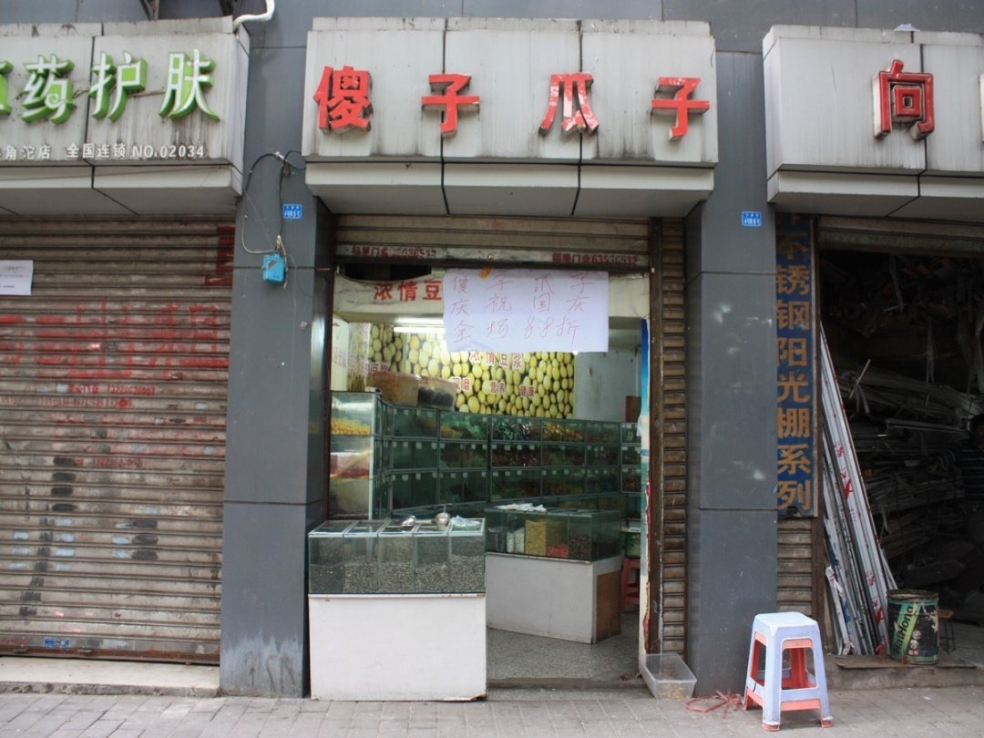 傻子瓜子