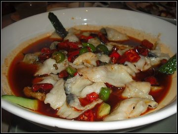 鲶鲶不忘