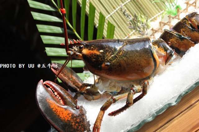 正