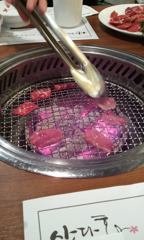 山茶花