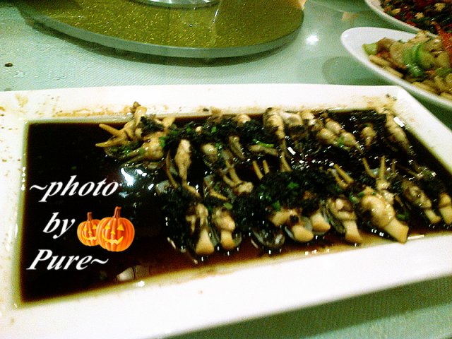 豆豉蝽子