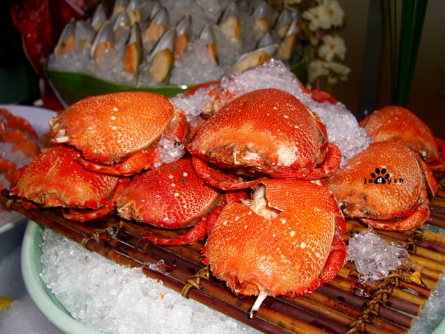 面包蟹