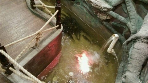 川太公-室内鱼池,客人直接点鱼,服务员捞鱼直接提去后厨制作