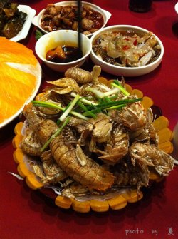 懒尿虾