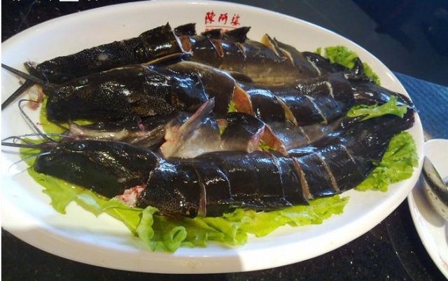 鱼
