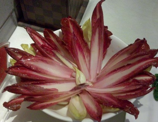 清翠玉兰菊