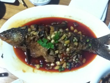 干烧鱼