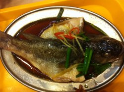 鲈鱼