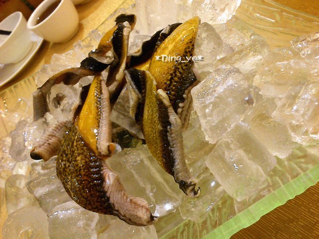 冰镇黄鳝