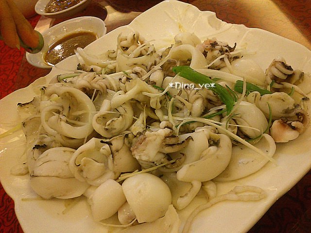 墨鱼