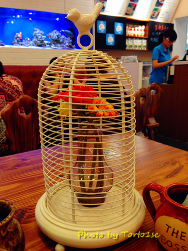 修饰