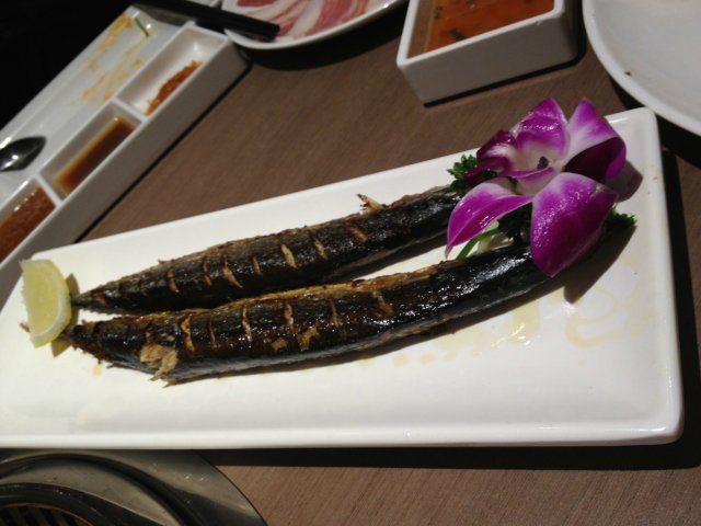 秋刀鱼