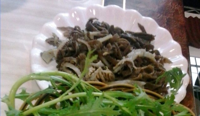 毛肚