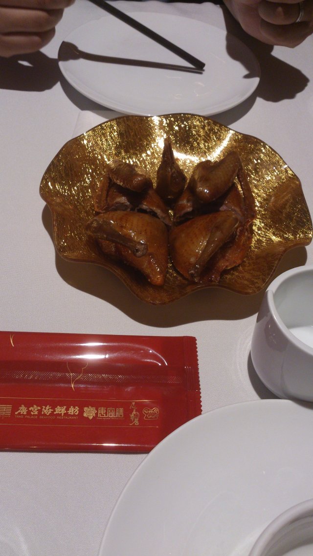乳鸽