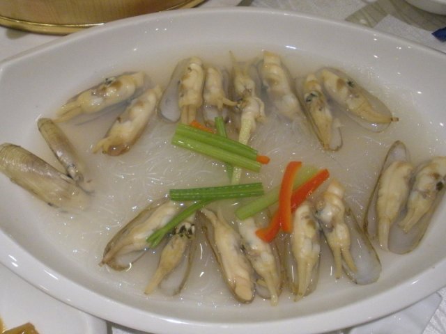 盐水石浦蛏子