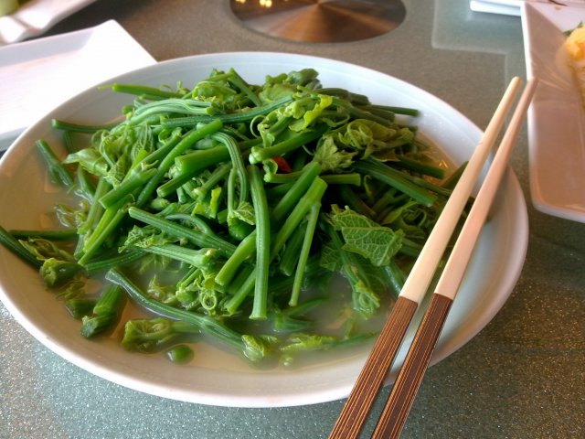 瓜苗