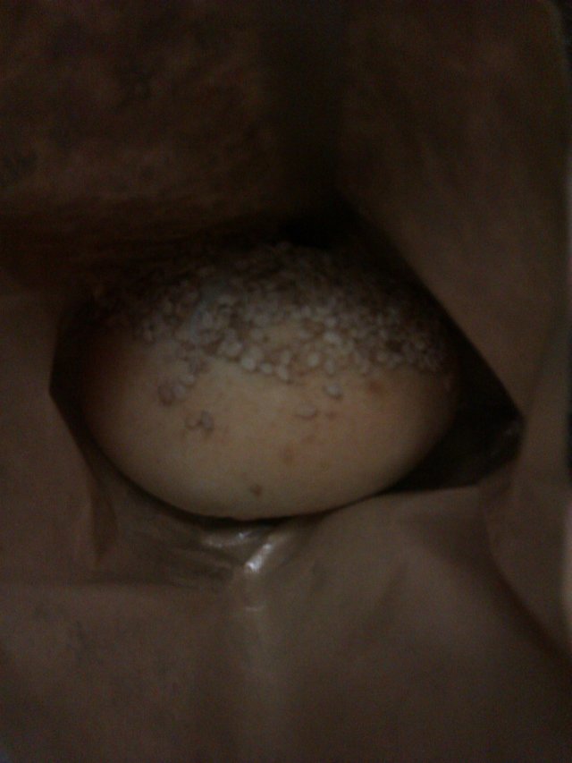 胡椒饼