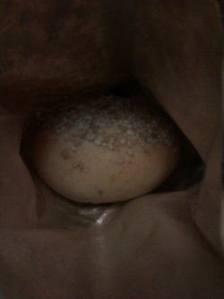 胡椒饼