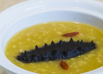 小米炖辽参