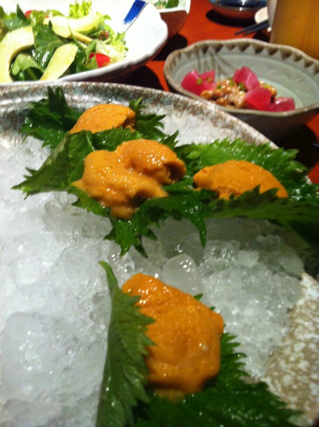 海胆