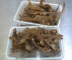 本帮小黄鱼