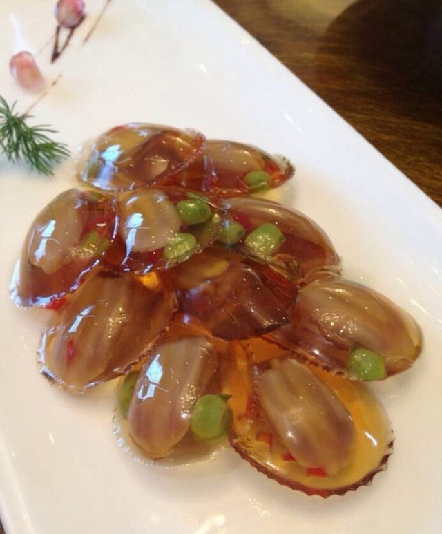 鸭舌