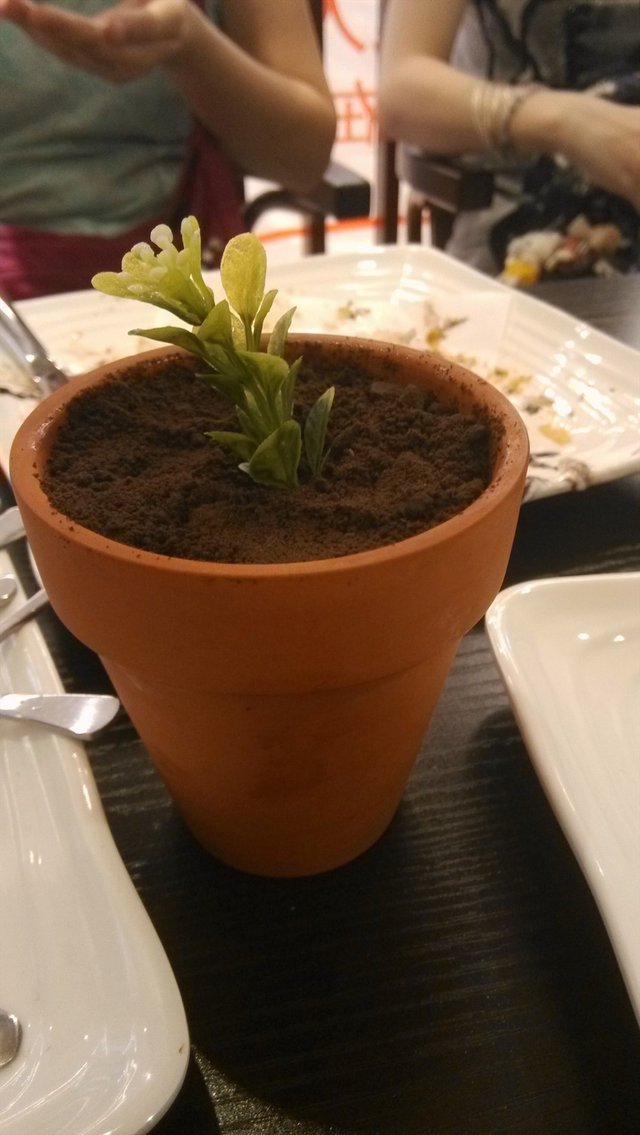 花盆雪糕