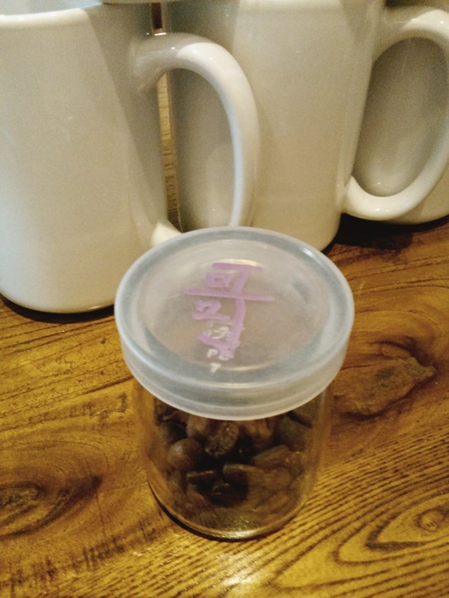 中美洲的哥斯达黎加豆