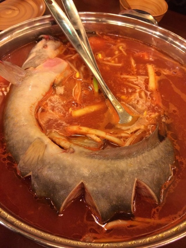 酸汤鮰鱼