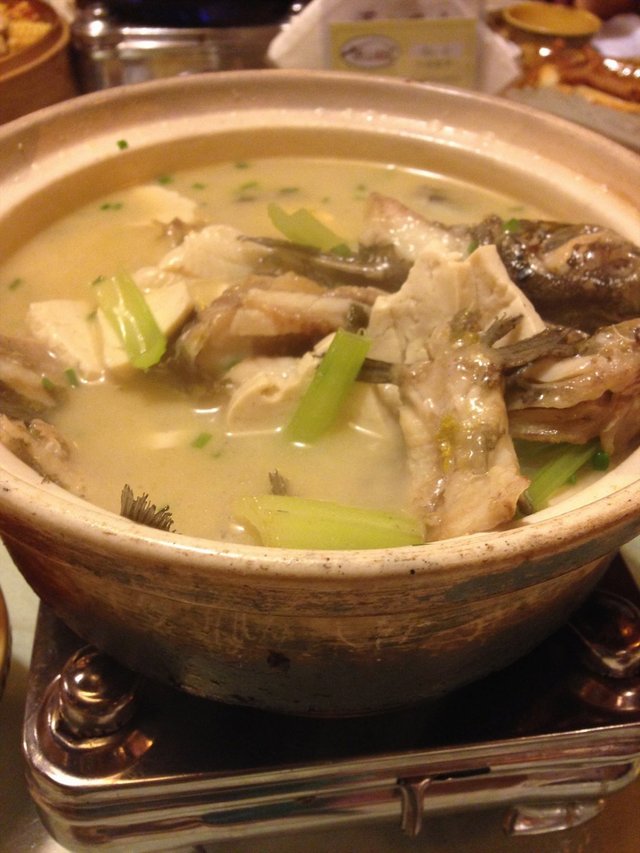 昂刺鱼豆腐汤