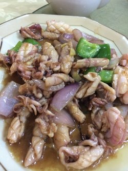 葱爆鲜鱿