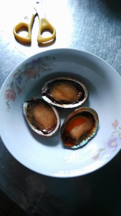 鲍鱼