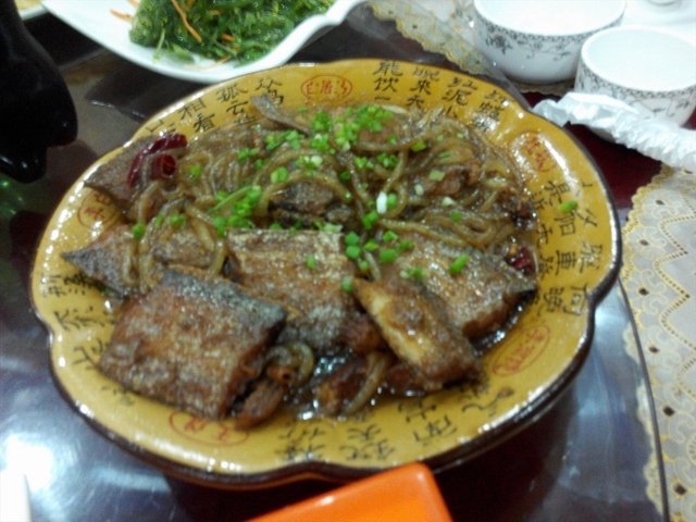 东北烧带鱼