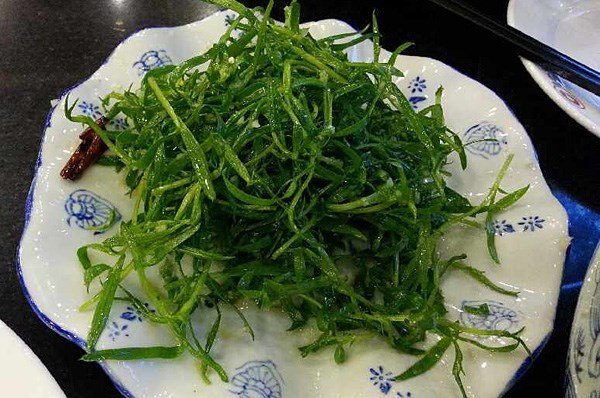 拌苦菊