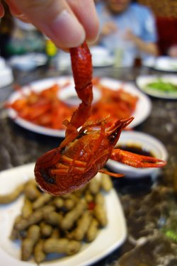 靓靓蒸虾