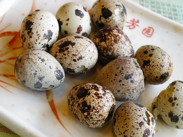 鹌鹑蛋