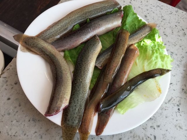 泥鳅