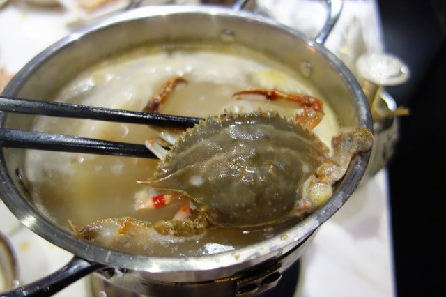 梭子蟹