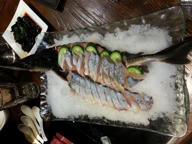 鲜活中华鲟