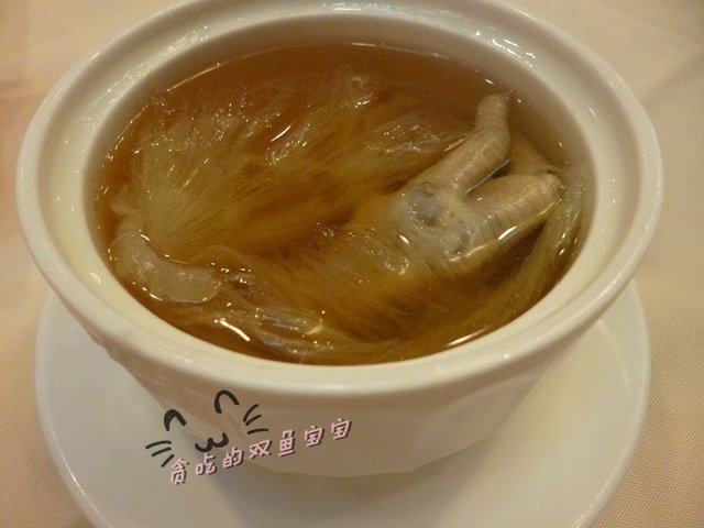 南极冰川瓜牙拣翅