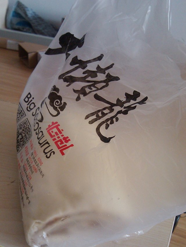 大懒龙