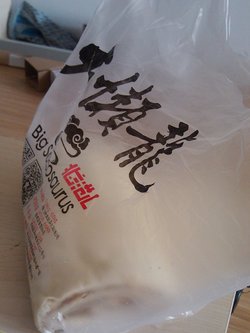 大懒龙
