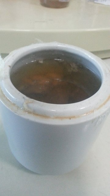 清炖瘦肉水