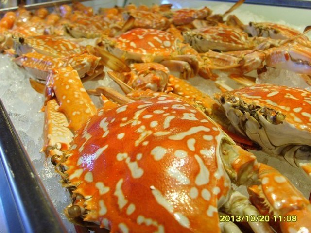 都是肉