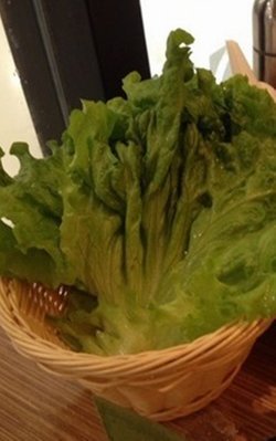生菜