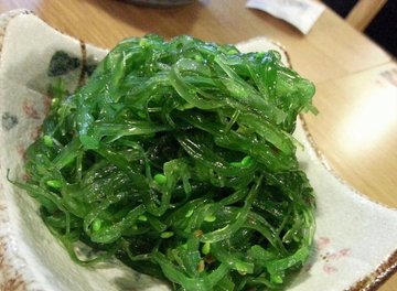 中华海草