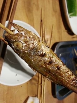 烤黄华鱼
